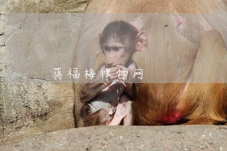 蒋福梅律师网 蒋福梅律师网