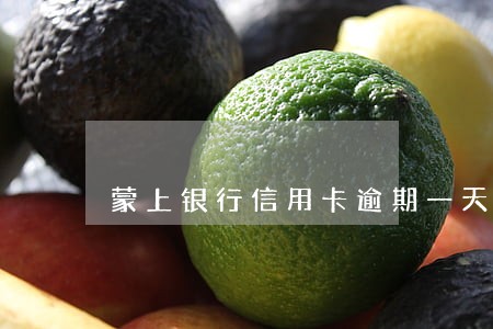 蒙上银行信用卡逾期一天