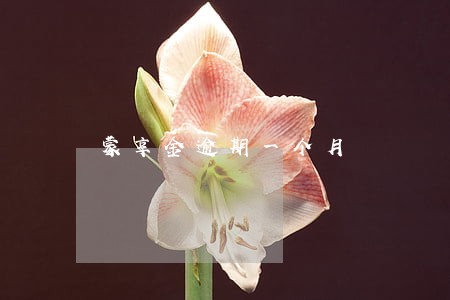蒙享金逾期一个月 蒙享金逾期一个月