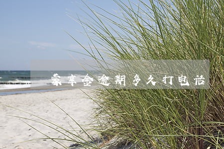 蒙享金逾期多久打电话