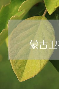 蒙古卫视金牌律师团 蒙古卫视金牌律师团