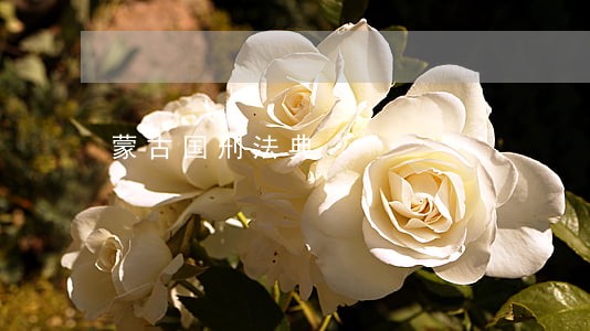 蒙古国刑法典 蒙古国刑法典