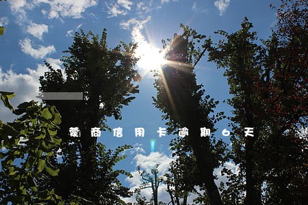 蒙商信用卡逾期6天 蒙商信用卡逾期6天