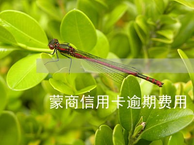 蒙商信用卡逾期费用 蒙商信用卡逾期费用