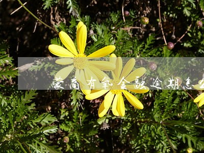 蒙商有氧金融逾期怎么办 蒙商有氧金融逾期怎么办