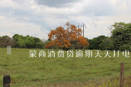 蒙商消费贷逾期天天打电话 蒙商消费贷逾期天天打电话