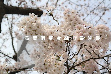 蒙商消费金融贷款逾期 蒙商消费金融贷款逾期