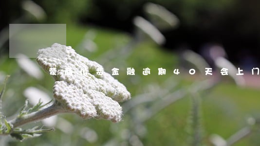 蒙商消费金融逾期40天会上门吗 蒙商消费金融逾期40天会上门吗