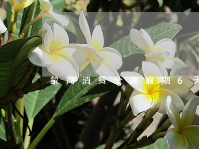 蒙商消费金融逾期6天 蒙商消费金融逾期6天