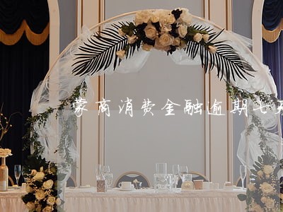 蒙商消费金融逾期七天