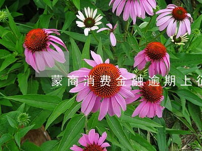 蒙商消费金融逾期上征信吗