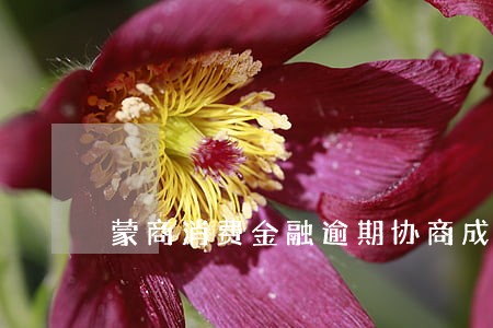 蒙商消费金融逾期协商成功