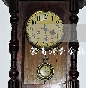 蒙商消费金融逾期可以协商处理吗