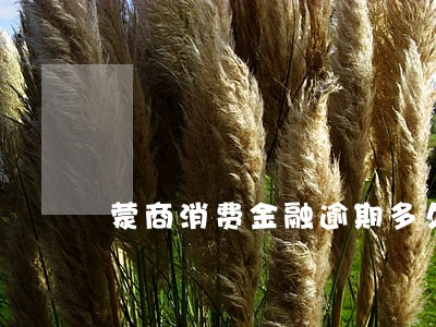 蒙商消费金融逾期多久会上门