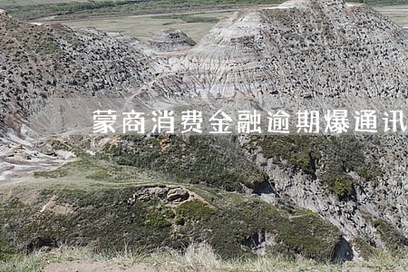 蒙商消费金融逾期爆通讯录 蒙商消费金融逾期爆通讯录