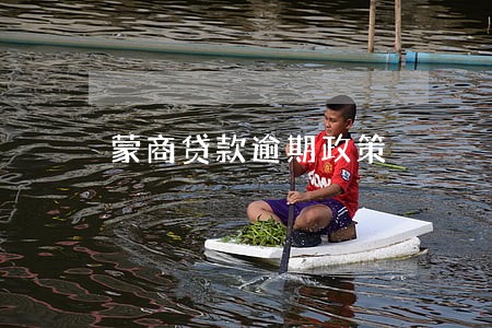 蒙商贷款逾期政策 蒙商贷款逾期政策