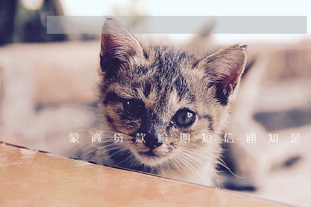蒙商贷款逾期短信通知是什么样的 蒙商贷款逾期短信通知是什么样的