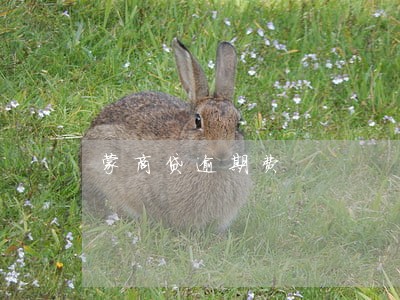 蒙商贷逾期费 蒙商贷逾期费