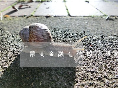 蒙商金融有逾期宽限时间 蒙商金融有逾期宽限时间