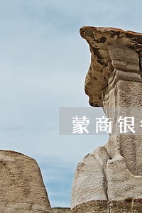蒙商银行信用卡逾期有什么政策 蒙商银行信用卡逾期有什么政策