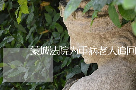 蒙城法院为重病老人追回救命钱 蒙城法院为重病老人追回救命钱
