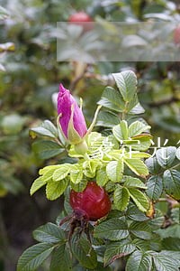 蒙定光律师 蒙定光律师