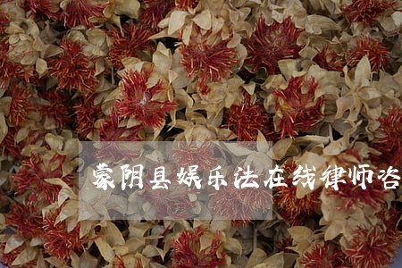 蒙阴县娱乐法在线律师咨询 蒙阴县娱乐法在线律师咨询