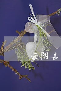 蒙阴县律师 蒙阴县律师