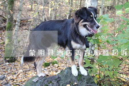 蒙阴县酒店美容加盟起诉律师 蒙阴县酒店美容加盟起诉律师