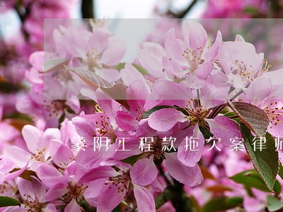 蒙阴工程款拖欠案律师哪家强 蒙阴工程款拖欠案律师哪家强
