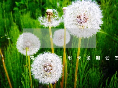 蒲公英信用卡逾期会怎样