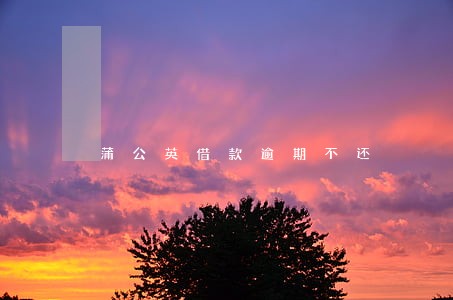 蒲公英借款逾期不还 蒲公英借款逾期不还