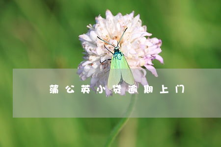 蒲公英小贷逾期上门 蒲公英小贷逾期上门