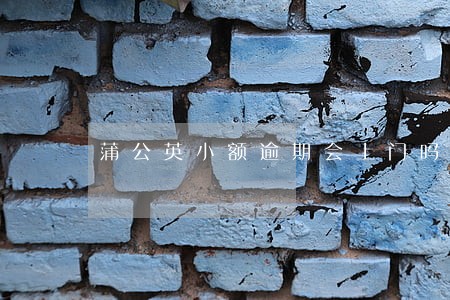 蒲公英小额逾期会上门吗