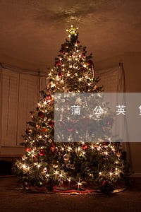 蒲公英贷款逾期不还会怎样 蒲公英贷款逾期不还会怎样