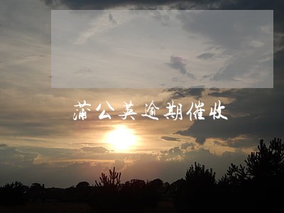 蒲公英逾期催收 蒲公英逾期催收