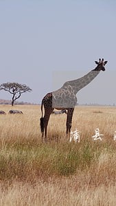 蒲县法院公开网贺振华 蒲县法院公开网贺振华