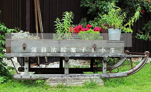 蒲县法院案子王小生 蒲县法院案子王小生