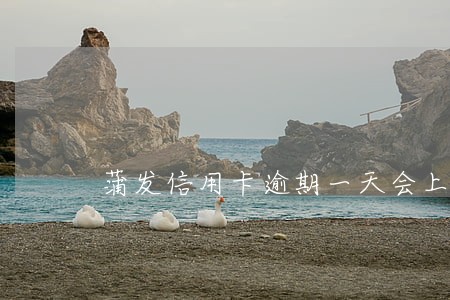 蒲发信用卡逾期一天会上征信吗 蒲发信用卡逾期一天会上征信吗