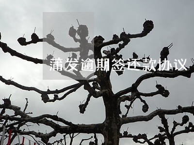 蒲发逾期签还款协议 蒲发逾期签还款协议