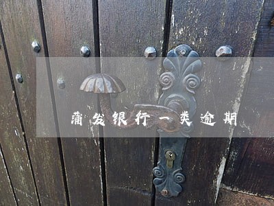 蒲发银行一类逾期
