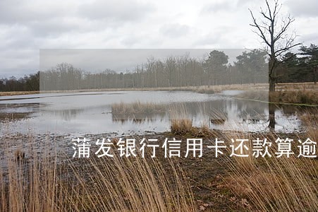 蒲发银行信用卡还款算逾期吗 蒲发银行信用卡还款算逾期吗