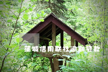 蒲城信用联社逾期贷款 蒲城信用联社逾期贷款
