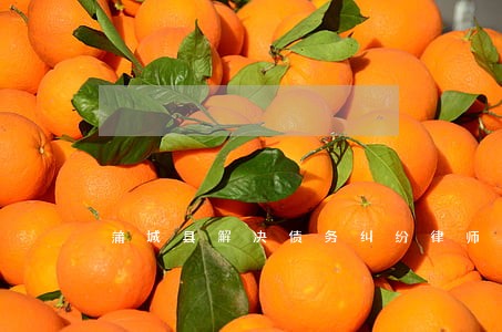 蒲城县解决债务纠纷律师 蒲城县解决债务纠纷律师