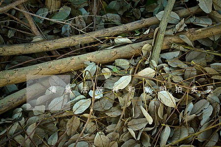 蒲城法院祥和家园拍卖买 蒲城法院祥和家园拍卖买