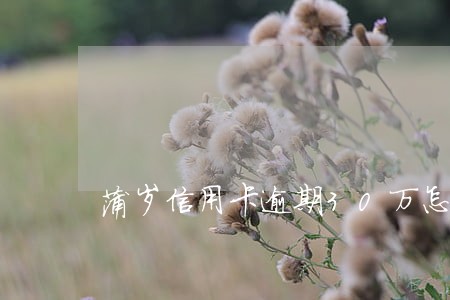 蒲岁信用卡逾期30万怎么办 蒲岁信用卡逾期30万怎么办