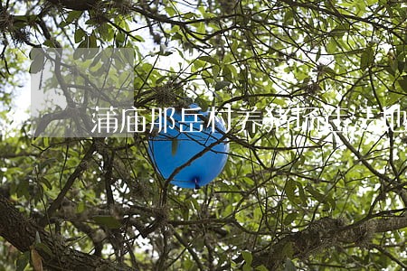 蒲庙那岳村养猪场违法地 蒲庙那岳村养猪场违法地