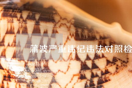 蒲波严重违纪违法对照检查材料 蒲波严重违纪违法对照检查材料
