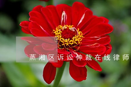 蒸湘区诉讼仲裁在线律师 蒸湘区诉讼仲裁在线律师