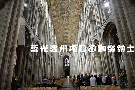 蓝光温州项目逾期缴纳土地款 蓝光温州项目逾期缴纳土地款